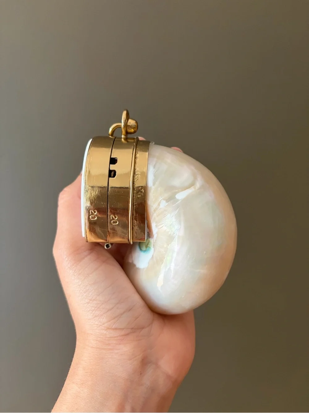 Gold and Cream Shell Clutch